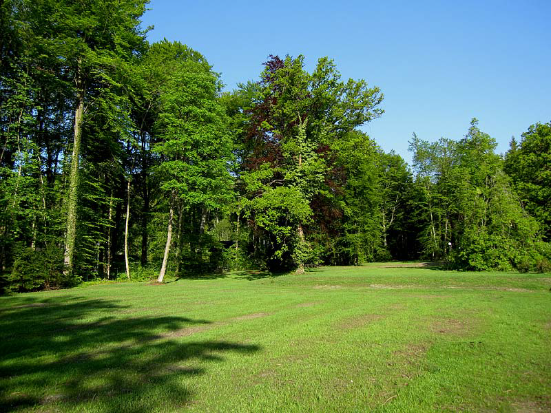 Perchting - Landwirtschaftlicher Grund und Waldfläche in Perchting